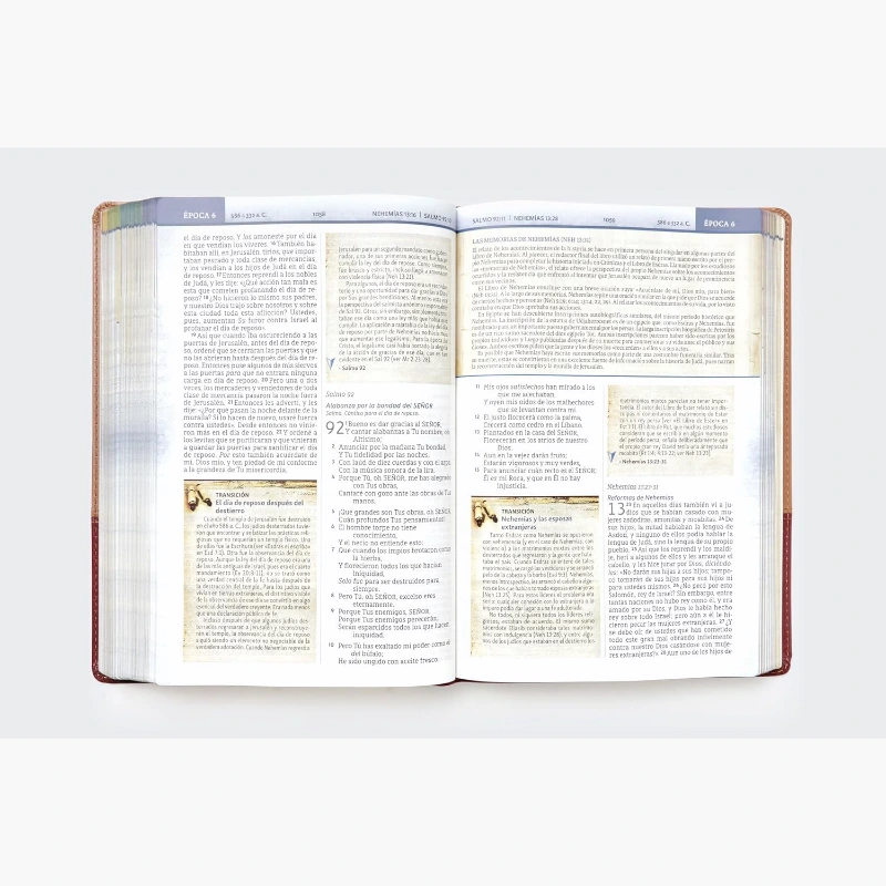 Biblia Cronologica De Estudio Nbla - imagen 4