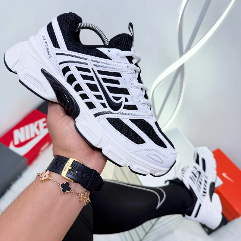 Air Pegasus Caballero - imagen 3